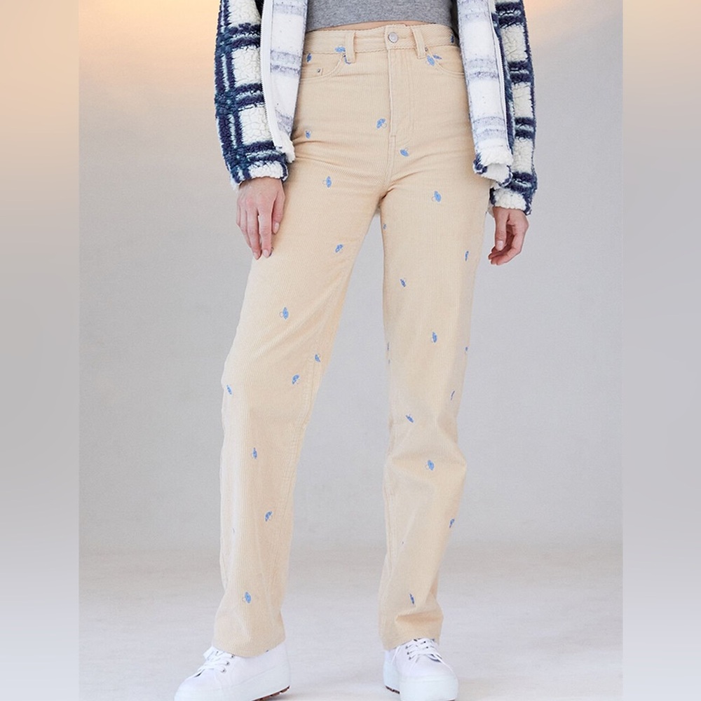 PacSun Mirco Embroidered Mushroom 90s Boyfriend Corduroy Jeans Size 23 Org. $60